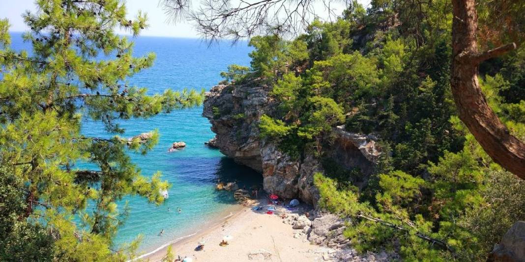 Orman ve sahil burada bütünleşiyor! Yaz bitti diye düşünenleri ters köşe eden adres: Burada tatil hala mümkün 3